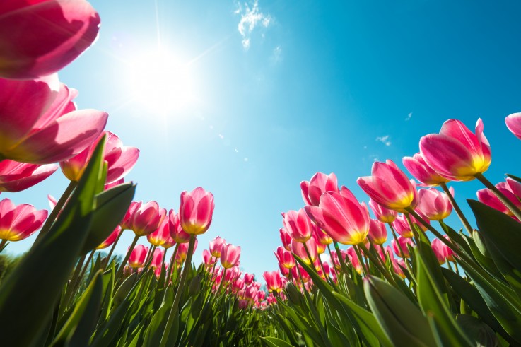Zonnigste Nationale Bevrijdingsdag ooit!