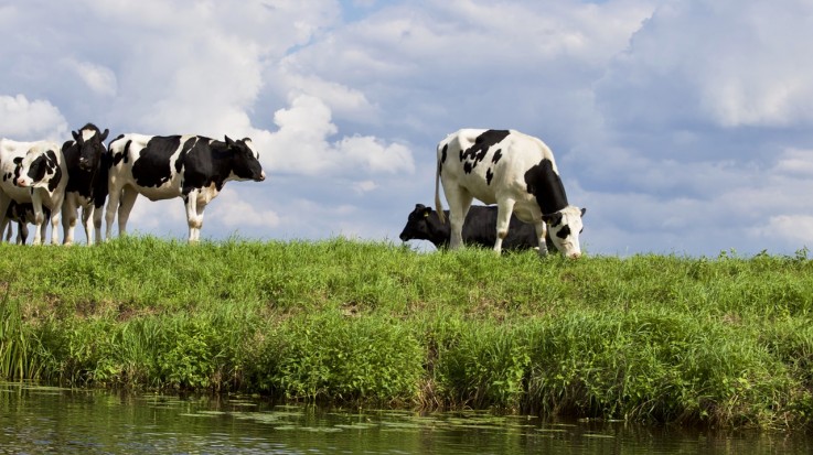Eindelijk zomerweer in Nederland!
