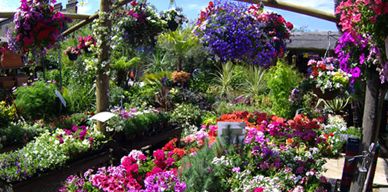 Verwarming voor tuincentrum