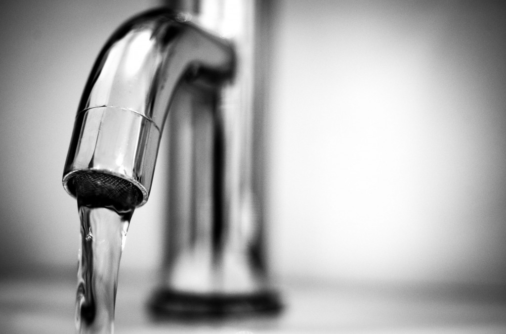 Boiler voor biotechnologisch bedrijf
