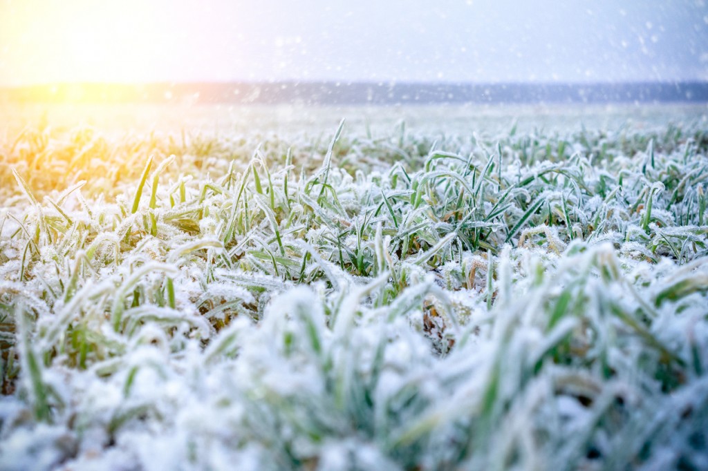Weerman waarschuwt: “het is tijd om je voor te bereiden op barre winterdagen”