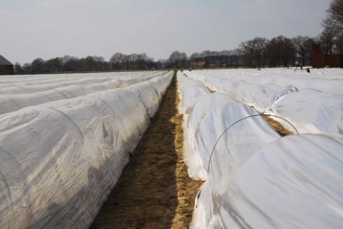 Heater voor agrarische bedrijven - Vorst Beveiliging